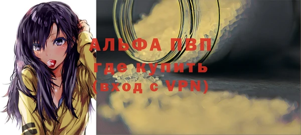 тгк Инсар