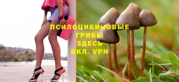 шишки Зеленокумск