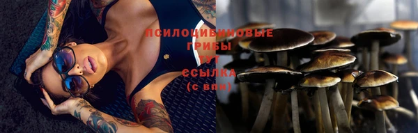 каннабис Зерноград
