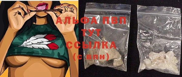тгк Инсар